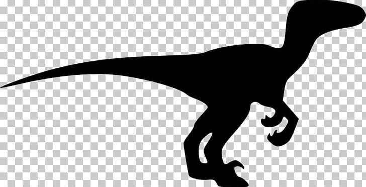 Velociraptor Dinosaur Triceratops PNG, Clipart, Art, Beak, Black And White, Color, Dinosaur Free PNG Download