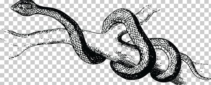 Venomous Snake Pit Viper Reptile PNG, Clipart, Animal, Animal Figure, Animals, Black And White, Boa Constrictor Free PNG Download
