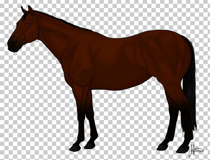 Arabian Horse Thoroughbred Andalusian Horse American Quarter Horse Mane PNG, Clipart, American Quarter Horse, Andalusian Horse, Animal Figure, Arabian Horse, Bri Free PNG Download
