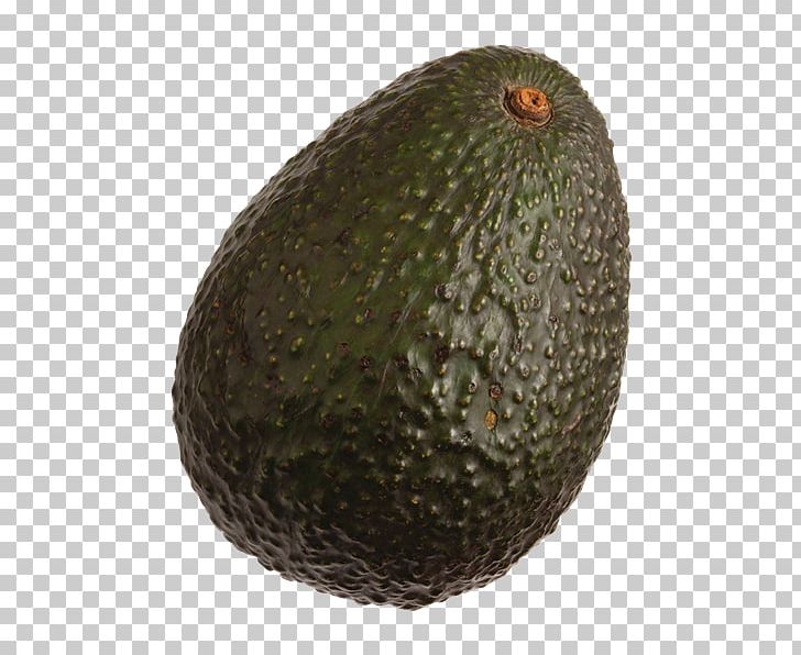 Hass Avocado Figleaf Gourd Fruit Food Vegetable PNG, Clipart, Avocado, Cucumber Gourd And Melon Family, Cucurbita, Figleaf Gourd, Food Free PNG Download