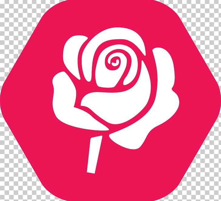 Pink PNG, Clipart, Cartoon Rose, Circle, Designer, Download, Flower Free PNG Download
