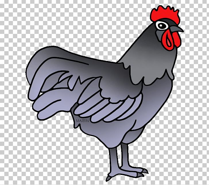 Silkie Delaware Blue Hen Cornish Chicken PNG, Clipart, Artwork, Barbecue, Beak, Bird, Chicken Free PNG Download