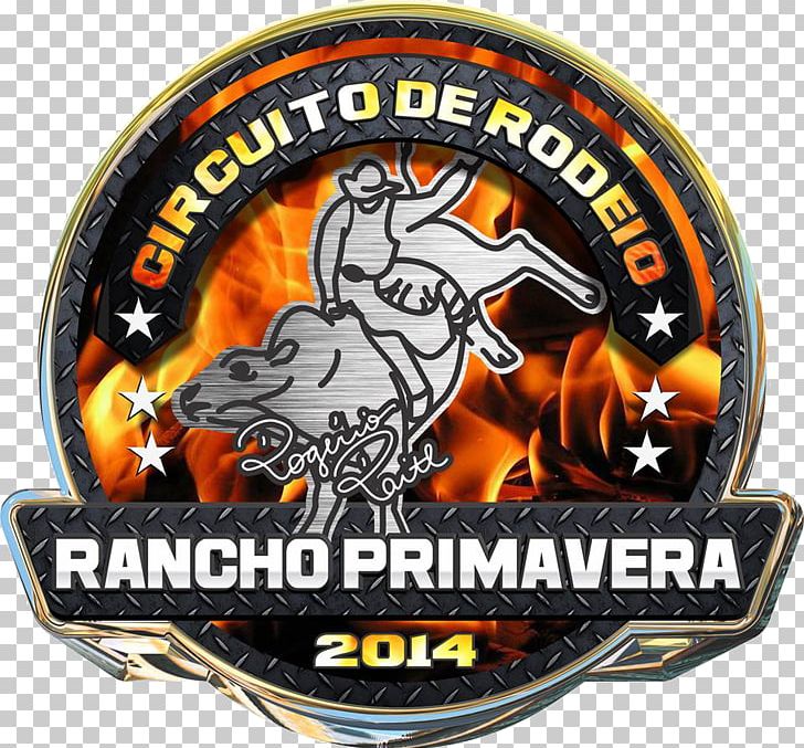 Cattle Rodeo Circuito Rancho Primavera Bullfighting PNG, Clipart,  Free PNG Download