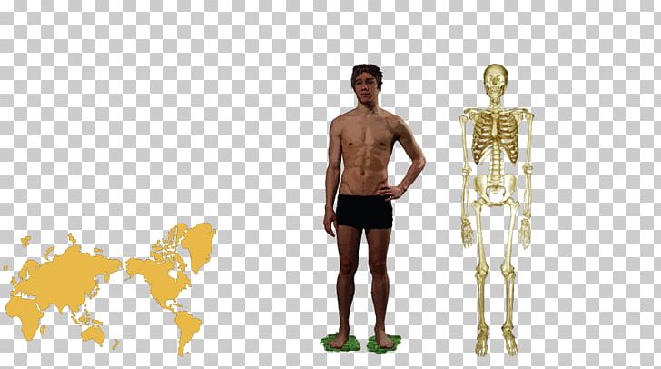 Homo Sapiens Human Anatomy Human Body Human Behavior PNG, Clipart, 4 M, Anatomy, Arm, Beam, Control 4 Free PNG Download