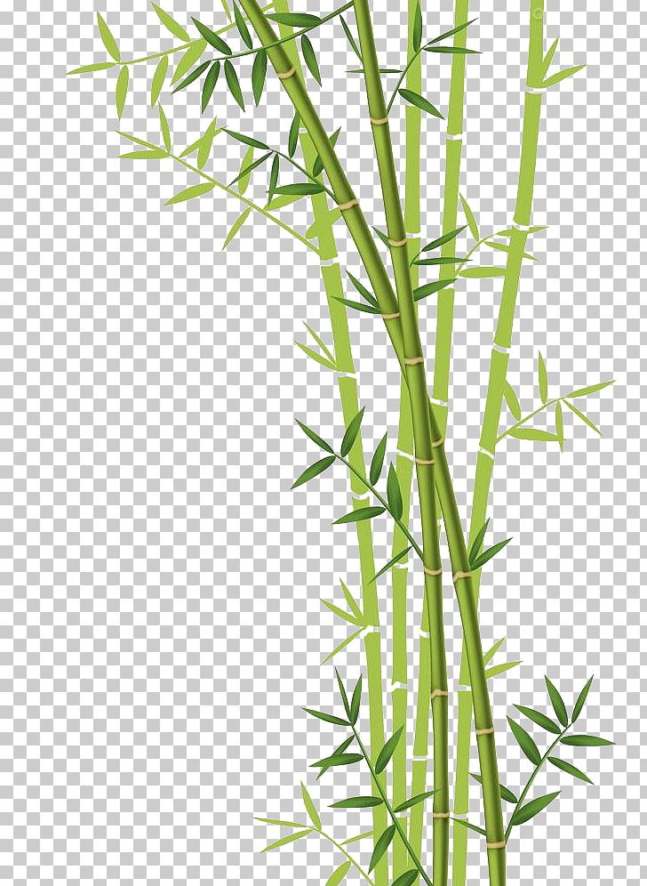 Bamboo Forest Euclidean Stock Photography PNG, Clipart, Angle, Bamboo 19 0 1, Bamboo Border, Bamboo Forest, Bamboo Frame Free PNG Download