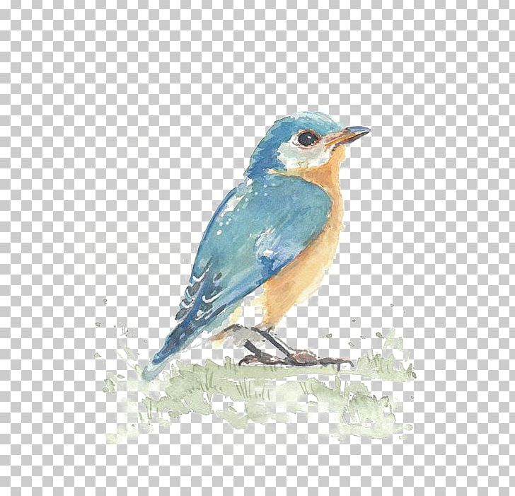 Hummingbird Watercolor Painting Visual Arts PNG, Clipart, Animals, Art, Beak, Bird, Bird Cage Free PNG Download