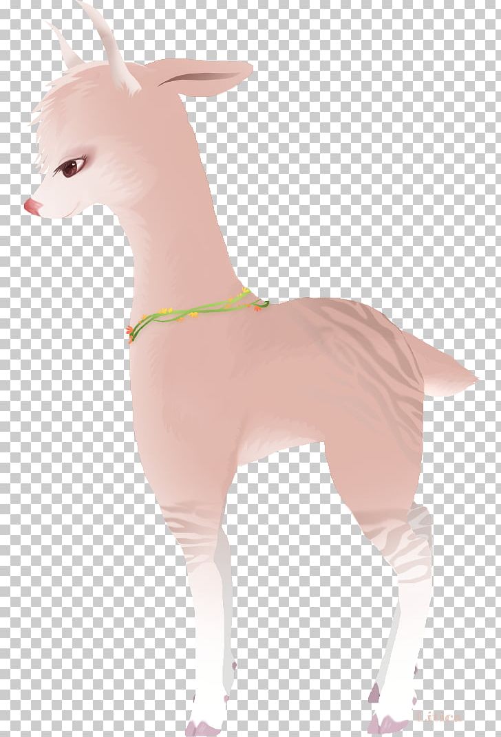 Italian Greyhound Dog Clothes Pink M Neck PNG, Clipart, Carnivoran, Clothing, Dog, Dog Clothes, Dog Like Mammal Free PNG Download