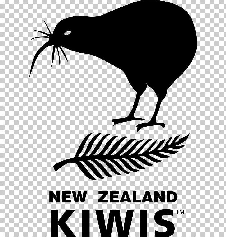 New Zealand National Rugby League Team New Zealand National Rugby Union Team Rugby League World Cup PNG, Clipart, Artwork, Beak, Bird, Black And White, Brand Free PNG Download