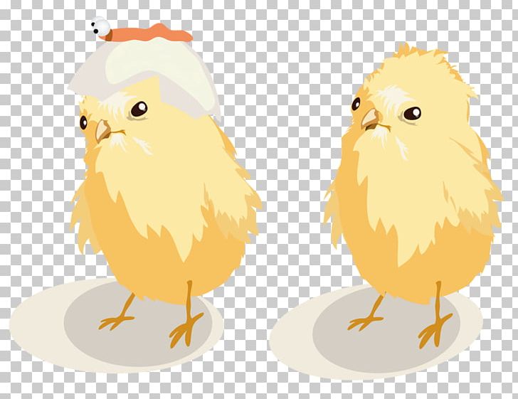 Chicken Illustration PNG, Clipart, Animal, Animals, Beak, Bird, Bird Of Prey Free PNG Download