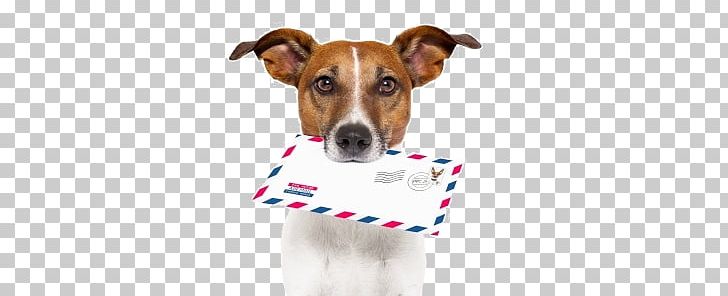 Dog Breed Letter Mail 4 Pics 1 Word PNG, Clipart, 4 Pics 1 Word, Animals, Companion Dog, Dog Breed, Dog Collar Free PNG Download
