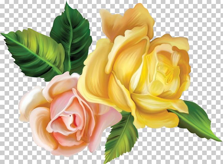 Flower Drawing Floral Design Garden Roses Png Clipart Cut