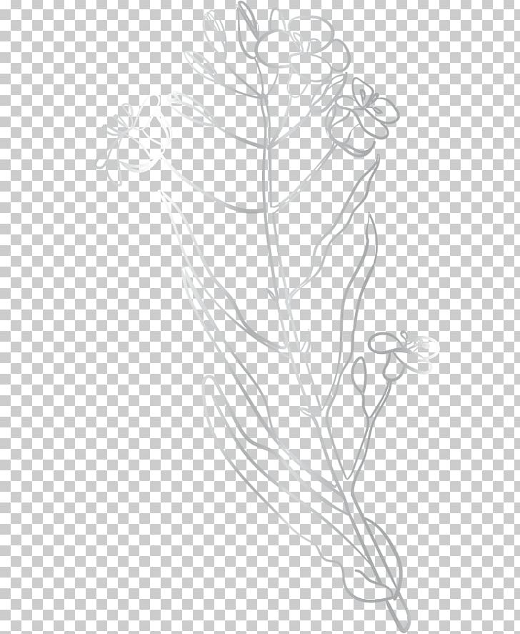 Twig Floral Design Leaf Sketch PNG, Clipart, Artwork, Black And White, Branch, Drawing, Flora Free PNG Download