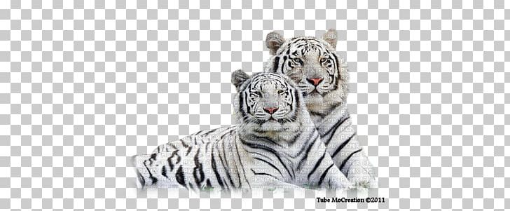 White Tiger PNG, Clipart, Animal, Bengal Tiger, Big Cats, Carnivoran, Cat Like Mammal Free PNG Download