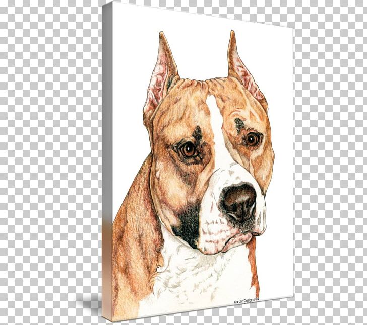 American Staffordshire Terrier American Pit Bull Terrier Staffordshire Bull Terrier PNG, Clipart, American Pit Bull Terrier, American Staffordshire Terrier, Art, Breed, Bull Free PNG Download