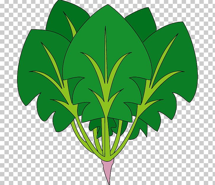 Spinach Food PNG, Clipart, Blog, Budi Daya, Cartoon, Flowering Plant, Food Free PNG Download