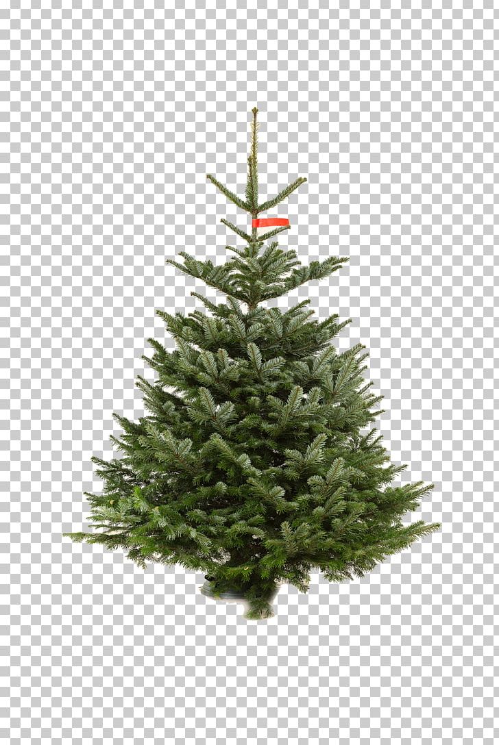 Artificial Christmas Tree Pre-lit Tree Christmas Lights PNG, Clipart, Artificial Christmas Tree, Blue Spruce, Christmas, Christmas Decoration, Christmas Ornament Free PNG Download