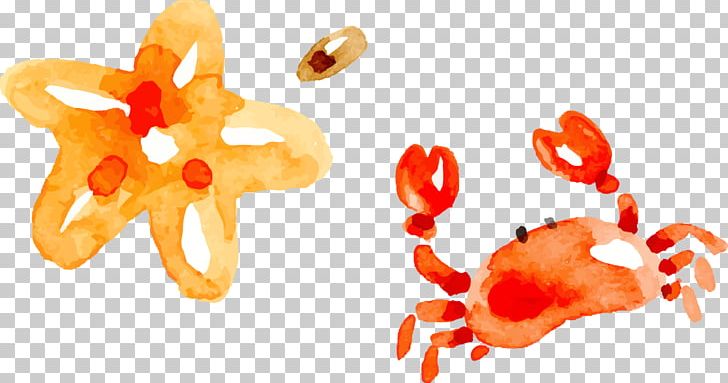 Crab Watercolor Painting PNG, Clipart, Adobe Illustrator, Animals, Crab, Crab Vector, Data Free PNG Download