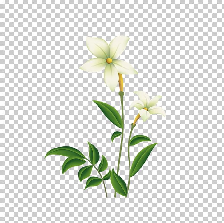 Lilium Flower PNG, Clipart, Black And White, Branch, Calla Lily, Cartoon, Creative Free PNG Download