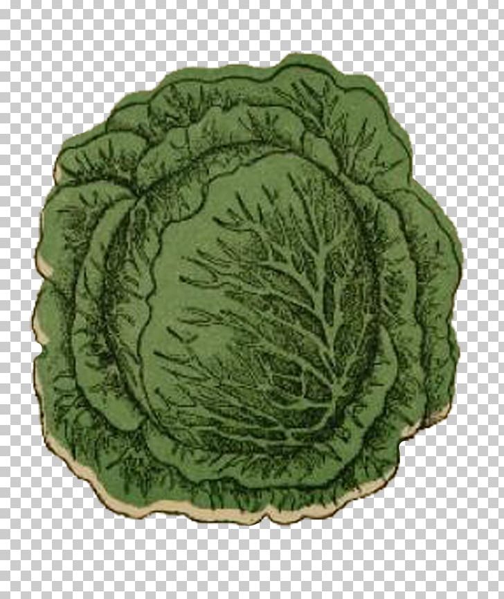 Savoy Cabbage Leaf Vegetable PNG, Clipart, Brassica Oleracea, Cabbage, Dishware, Leaf Vegetable, Savoy Cabbage Free PNG Download