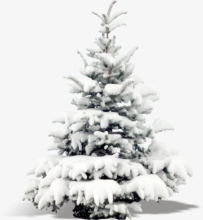 Plant Trees PNG, Clipart, Decoration, Plant, Plant Clipart, Snow, Trees Free PNG Download