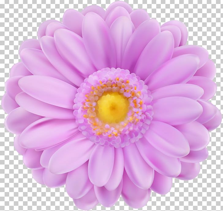 Purple Flower PNG, Clipart, Art, Aster, Chrysanths, Clipart, Common Daisy Free PNG Download