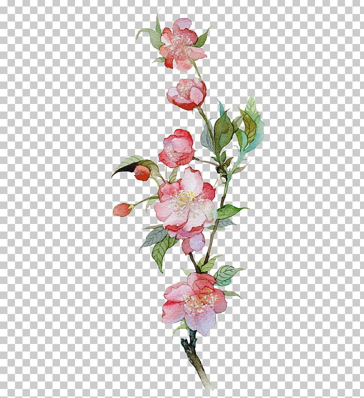 Malus Spectabilis Watercolor Painting Illustration PNG, Clipart, Apples, Artificial Flower, Branch, Designer, Flora Free PNG Download
