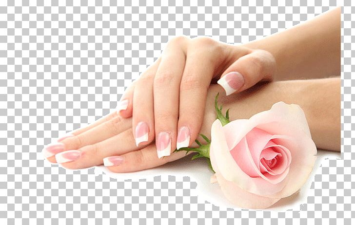 Manicure Orchid NAILS & SPA Pedicure Nail Salon PNG, Clipart, Artificial  Nails, Beauty, Beauty Parlour, Day