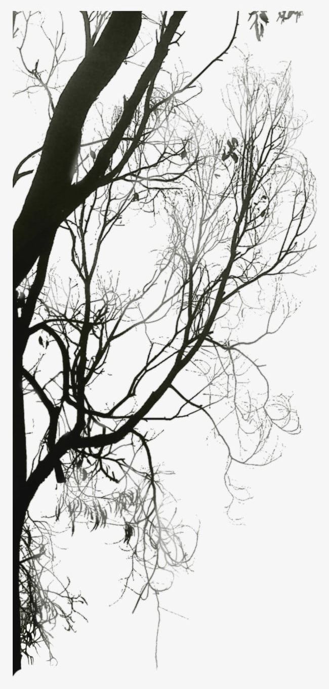Trees Silhouette PNG, Clipart, Background, Decorative, Decorative Background, Element, Silhouette Free PNG Download
