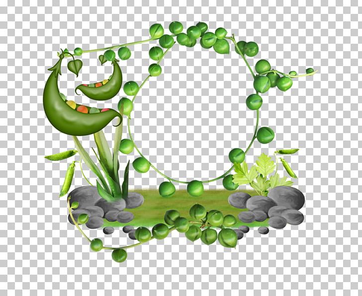 Bean Pea PNG, Clipart, Animated Film, Bean, Beans, Computer Icons, Download Free PNG Download