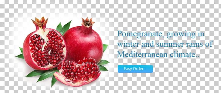 Pomegranate Juice Fruit Salad PNG, Clipart, Accessory Fruit, Capsule, Food, Fresh Pomegranate, Fruit Free PNG Download