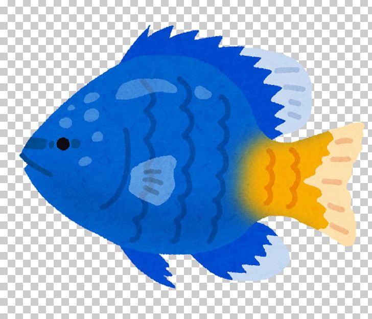 Chromis Notata いらすとや Fish PNG, Clipart, Animal, Biology, Child, Chromis, Cobalt Blue Free PNG Download