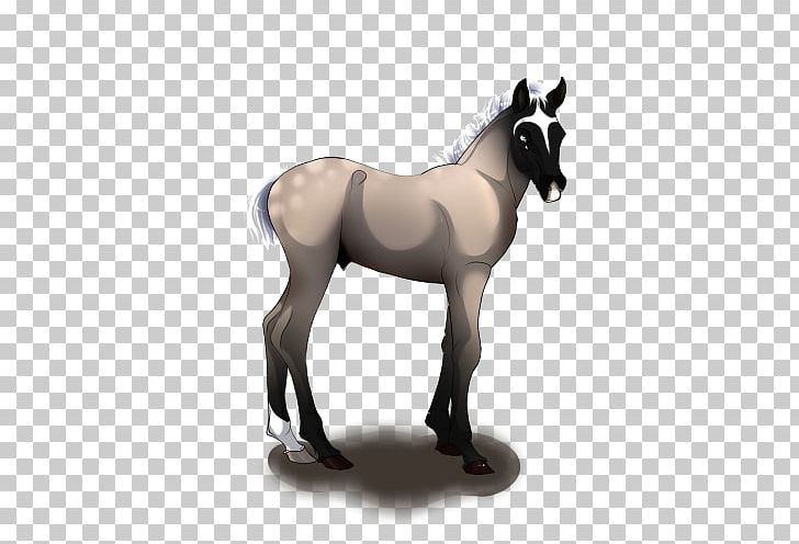 Mane Mustang Foal Stallion Colt PNG, Clipart,  Free PNG Download