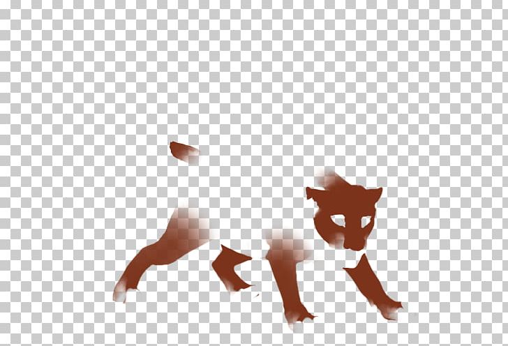 Cat Fox Dog Desktop Snout PNG, Clipart, Animals, Canidae, Carnivoran, Cartoon, Cat Free PNG Download
