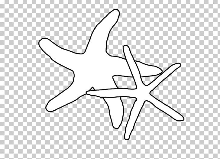 Starfish Desktop Metaphor Line Art Coloring Book PNG, Clipart, Angle, Animals, Area, Artwork, Black And White Free PNG Download