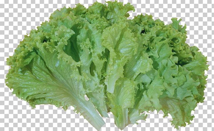 Caesar Salad Lettuce Sandwich Butterhead Lettuce PNG, Clipart, Butterhead Lettuce, Caesar Salad, Celtuce, Collard Greens, Cruciferous Vegetables Free PNG Download