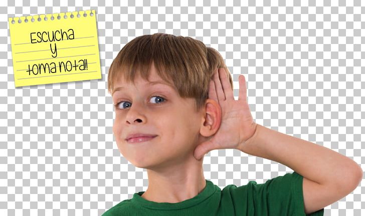 Child Auricle Auditory System Sense Ear PNG, Clipart, Auditory System, Auricle, Awareness, Child, Chin Free PNG Download