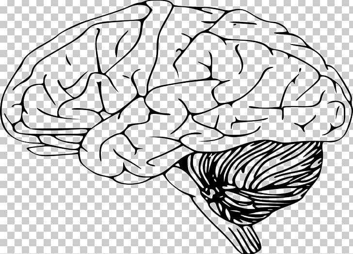 human brain clipart black and white