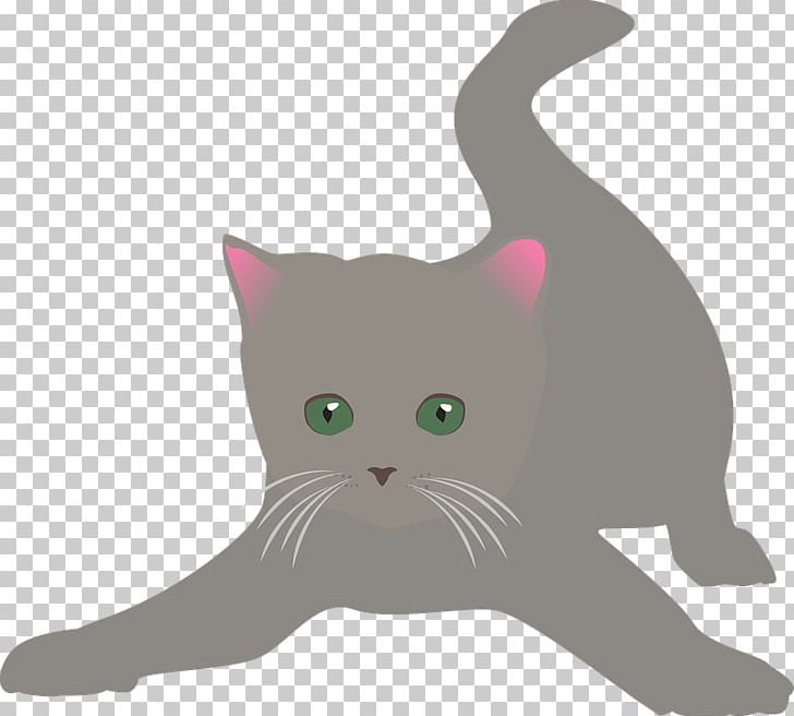 Kitten Whiskers Domestic Short-haired Cat British Shorthair PNG, Clipart, Animal, Animals, Black Cat, Breed, British Shorthair Free PNG Download