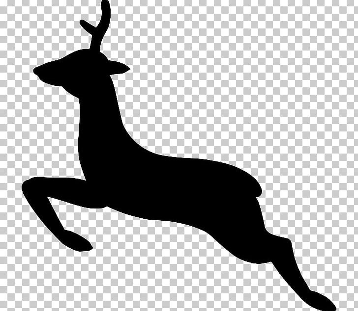 White-tailed Deer Reindeer Moose PNG, Clipart, Animals, Antelope, Antler, Black And White, Blog Free PNG Download