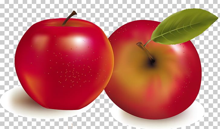 Fruit Stock Photography Illustration PNG, Clipart, Apple, Encapsulated Postscript, Food, Fruit, Fruit Nut Free PNG Download
