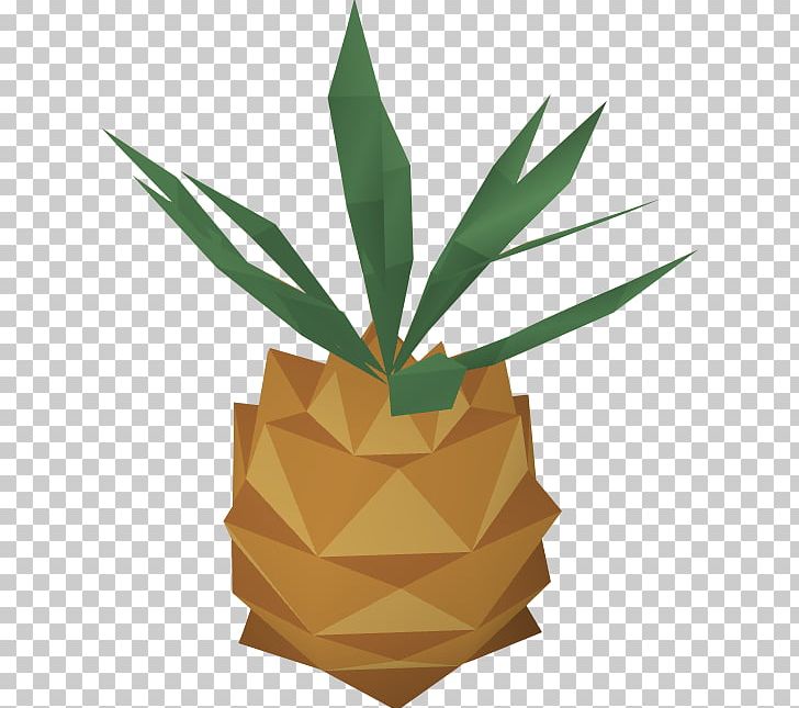 RuneScape Pineapple Ambrosia PNG, Clipart, Ambrosia, Ananas, Bromeliaceae, Copyright, Flowerpot Free PNG Download