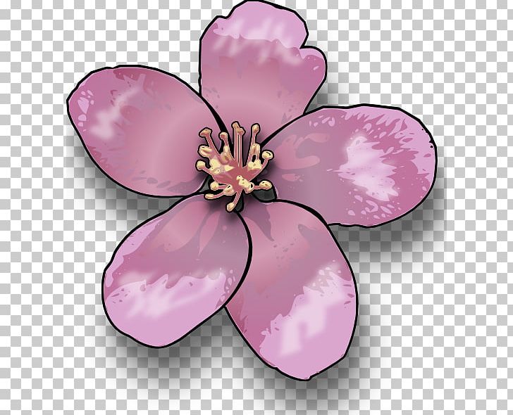 Cherry Blossom Saturn Peach PNG, Clipart, Apple, Blossom, Cartoon, Cartoon Cherry Blossom, Cherry Free PNG Download