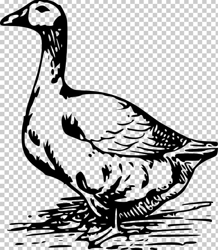 Goose Black And White Drawing PNG, Clipart, Animals, Bird, Chicken, Donald Duck, Duck Cartoon Free PNG Download