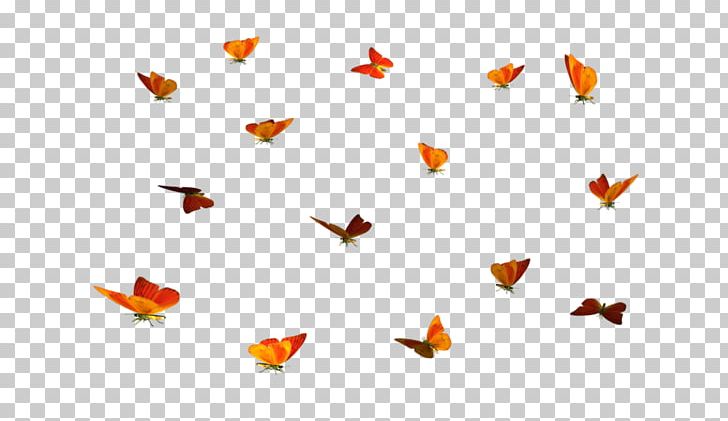 Butterfly PNG, Clipart, Bow, Bows, Bow Tie, Butterflies And Moths, Colias Croceus Free PNG Download