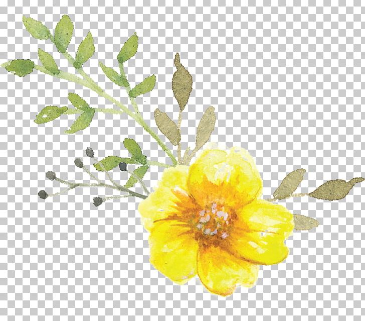 Flower Bouquet Petal Cut Flowers Etsy PNG, Clipart, Branch, Cut Flowers, Etsy, Flora, Flower Free PNG Download