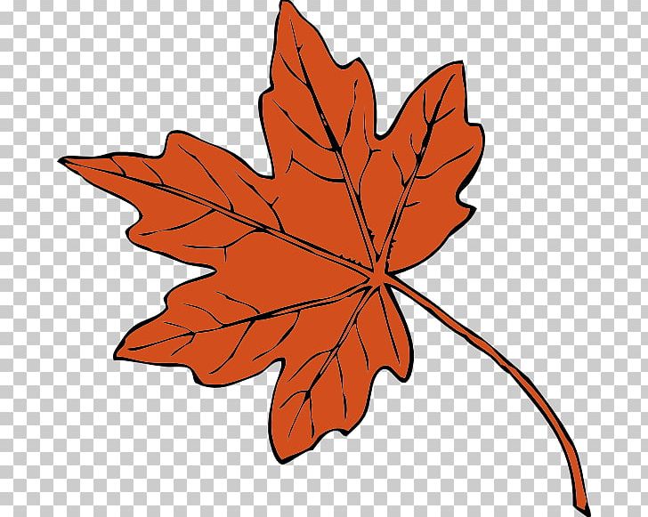 Maple Leaf PNG, Clipart, Autumn, Autumn Leaf Color, Download, Drawing, Flower Free PNG Download