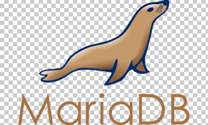 MariaDB MySQL Amazon Relational Database Service PNG, Clipart, Beak, Carnivoran, Computer Servers, Computer Software, Database Free PNG Download