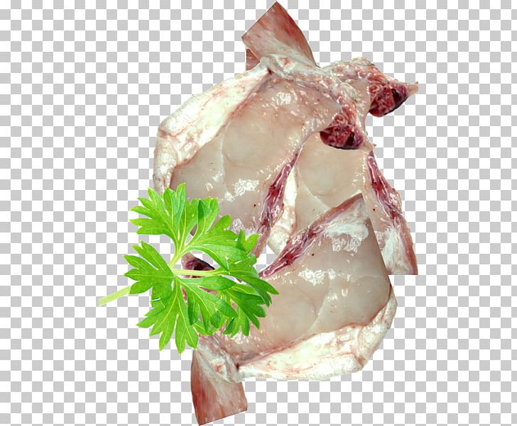 Fish Fillet Seafood Cod PNG, Clipart, Animal Source Foods, Atlantic Cod, Bayonne Ham, Blue Grenadier, Cobia Free PNG Download