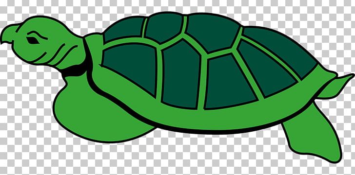 Sea Turtle Reptile Tortoise PNG, Clipart, Animal, Animals, Box Turtle, Eastern Box Turtle, Green Free PNG Download
