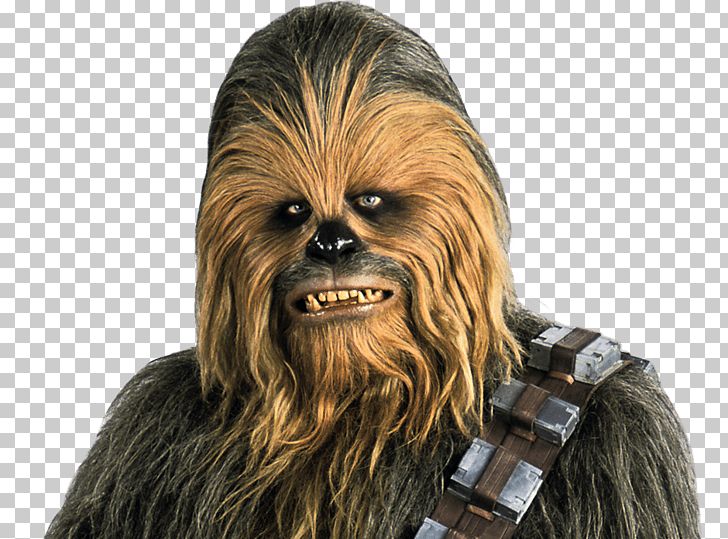 Chewbacca Star Wars Battlefront II Anakin Skywalker Luke Skywalker Han Solo PNG, Clipart, Character, Chewbacca, Chewbacca Png, Droid, Fantasy Free PNG Download